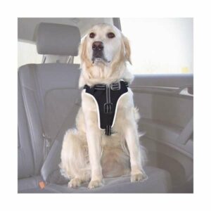 Trixie Trixie Auto-Sicherheitsgeschirr Dog Protect - S-M: 40-55 cm