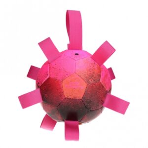 Dog Comets Ball Hypernova - Pink